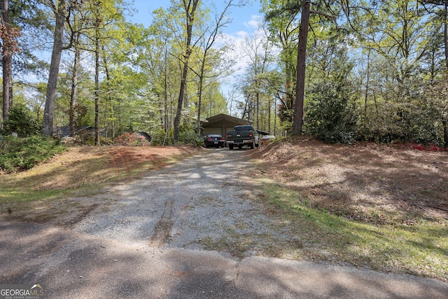 182 Quail Hollow Ln, Fort Valley, GA 31030 - view of dirt / gravel road