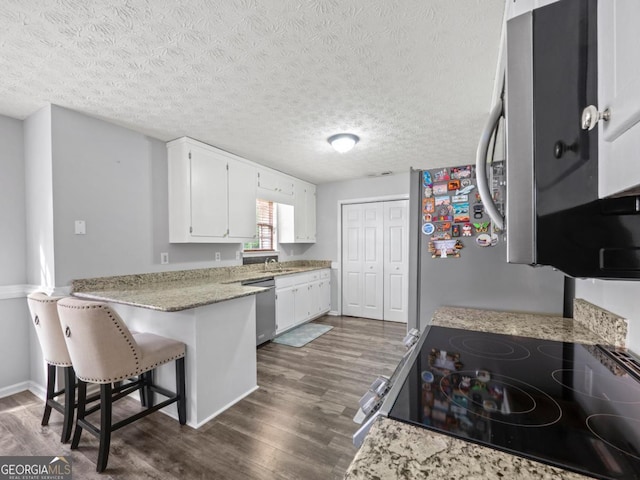 5293 Hopewell Ln, Gainesville, GA 30507 - kitchen with stainless steel appliances, dark wood-style floors, white cabinetry, a peninsula, and a sink