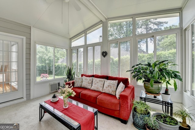 sunroom featuring carpet floors