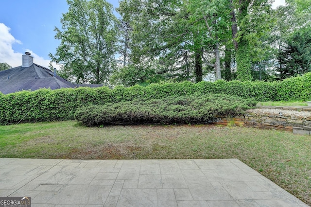 view of green lawn with a patio area