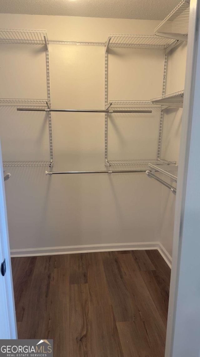 138 Tamara Ct, Athens, GA 30606 - walk in closet with dark wood-type flooring