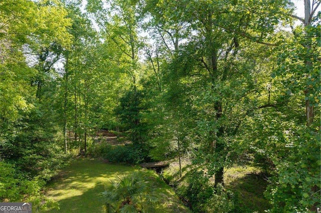 3705 Rolling Creek Dr, Buford, GA 30519 - view of tree filled area