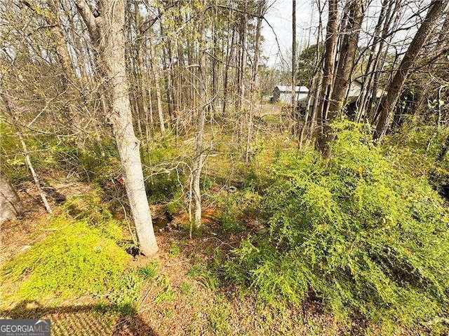 6092 Leverett Dr, Lithonia, GA 30038 - view of nature