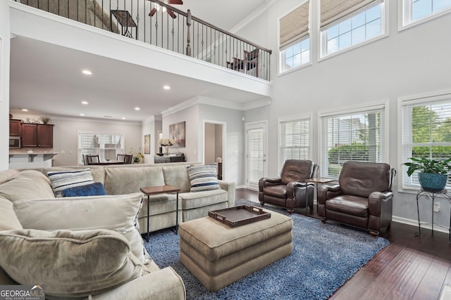 1840 Brighton Blvd SE, Atlanta, GA 30316 - living room featuring healthy amount of natural light, a high ceiling, dark wood-style flooring, crown molding, and baseboards