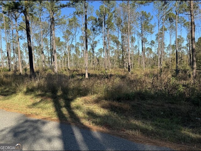 TRACT-9 Lower Simmons Rd, Macon, GA 31220