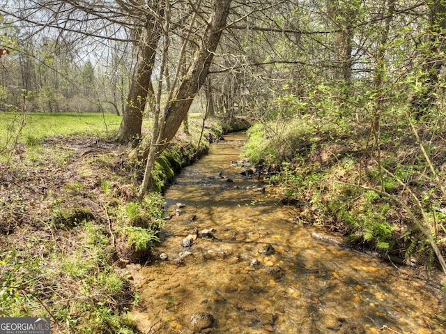 view of undeveloped land