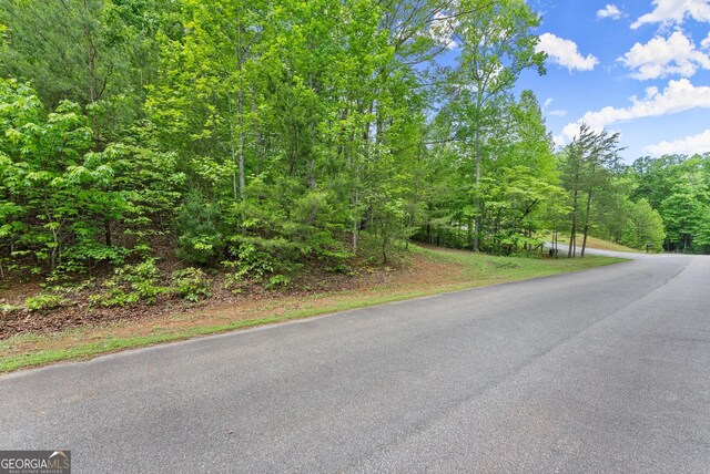0 Sassafrass Ridge Dr, Sautee Nacoochee, GA 30571