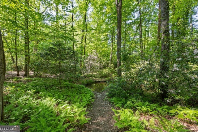 view of tree filled area
