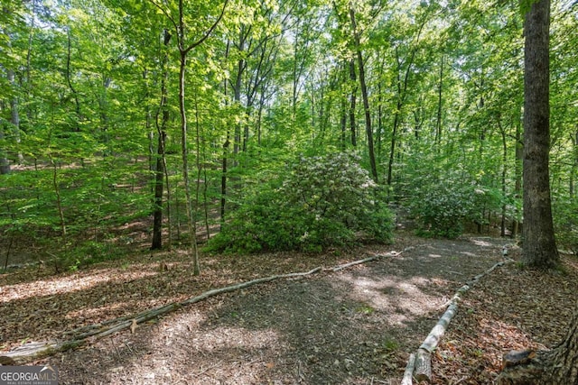 view of woods