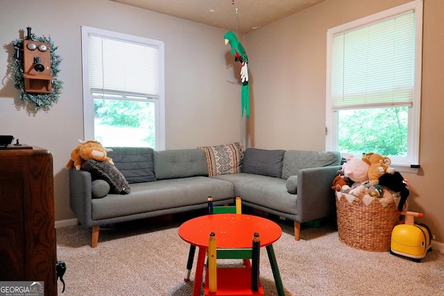 9305 Dogwood Pl, Gainesville, GA 30506 - carpeted living room with plenty of natural light and baseboards