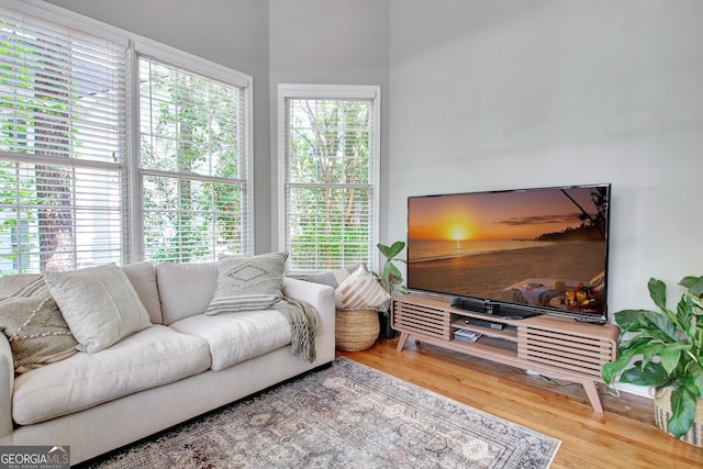 living area featuring wood finished floors