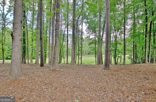 view of nature