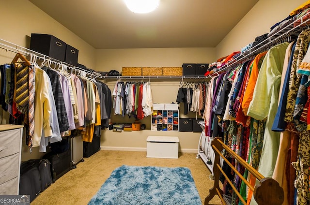 spacious closet with carpet