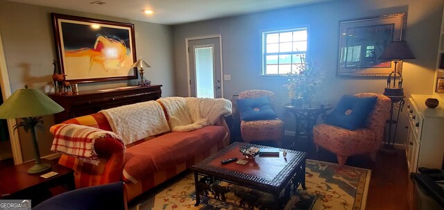 762 Old Mcleod Bridge Rd, Adrian, GA 31002 - view of living area