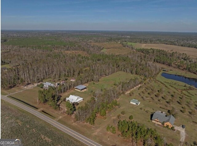 762 Old Mcleod Bridge Rd, Adrian, GA 31002 - aerial overview of property's location featuring a forest and a nearby body of water