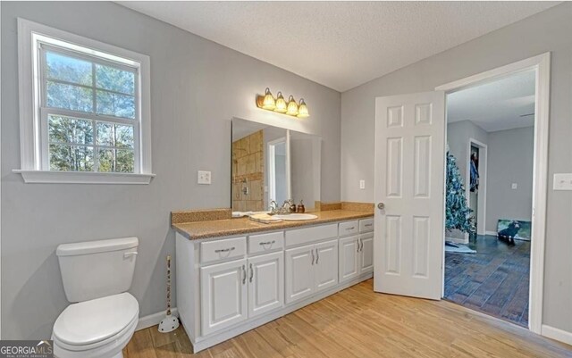 762 Old Mcleod Bridge Rd, Adrian, GA 31002 - bathroom with wood finished floors, baseboards, toilet, vanity, and tiled shower