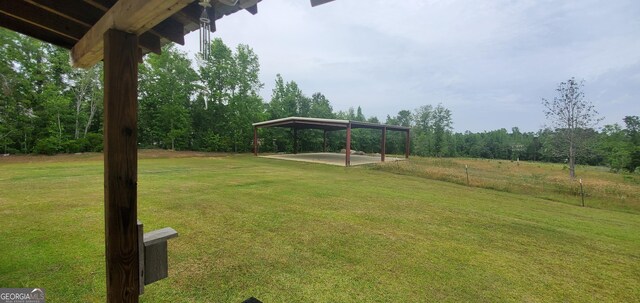 762 Old Mcleod Bridge Rd, Adrian, GA 31002 - view of green lawn with a detached carport and a patio