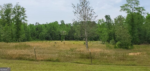 762 Old Mcleod Bridge Rd, Adrian, GA 31002 - view of undeveloped land
