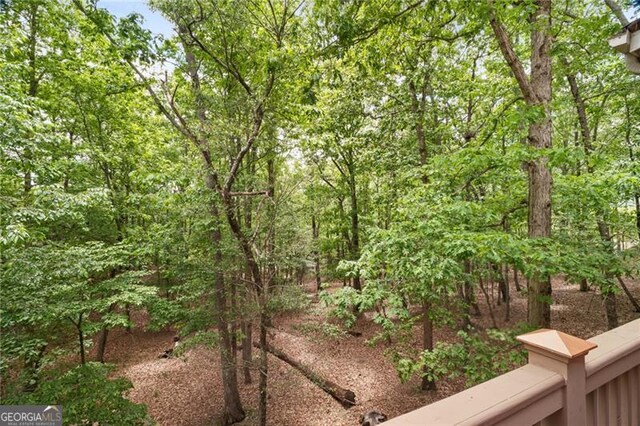 15 Sconti Knoll Dr, Jasper, GA 30143 - view of yard