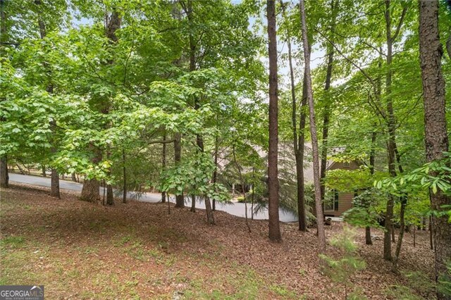 15 Sconti Knoll Dr, Jasper, GA 30143 - view of yard