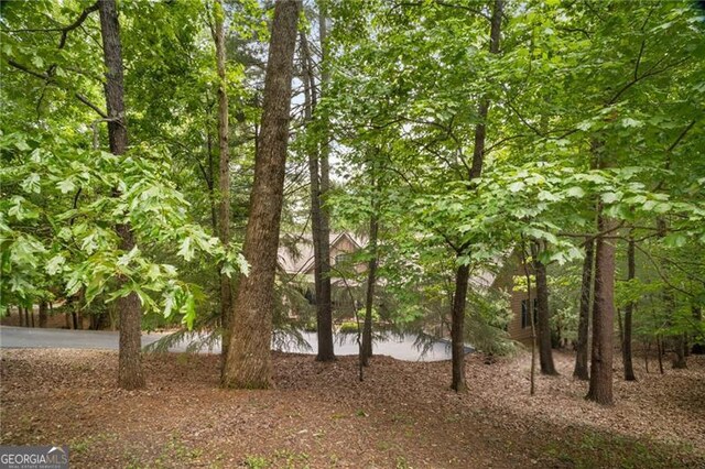 15 Sconti Knoll Dr, Jasper, GA 30143 - view of nature