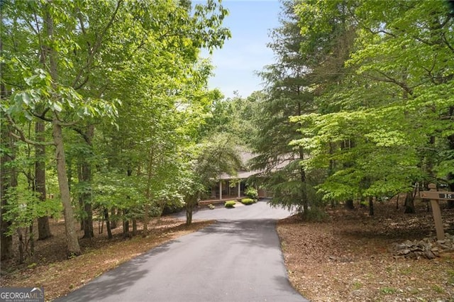 15 Sconti Knoll Dr, Jasper, GA 30143 - surrounding community with driveway