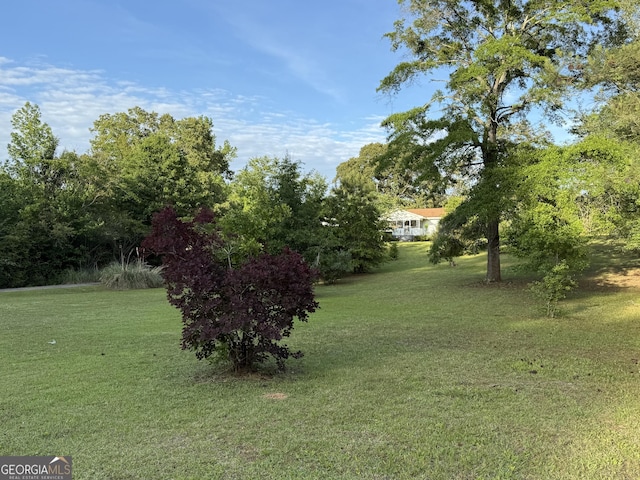 view of green lawn