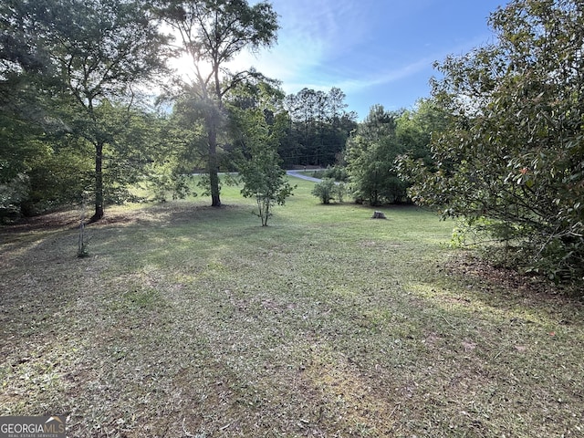 view of green lawn