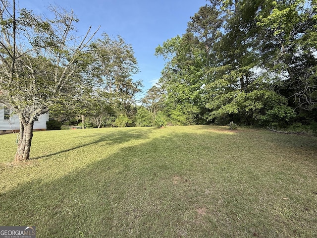 view of green lawn