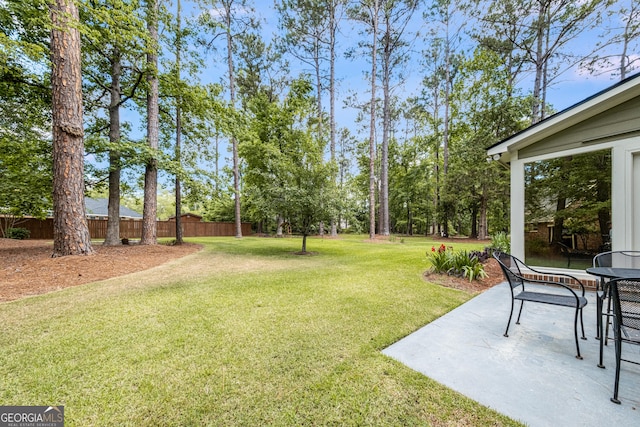 view of yard featuring a patio area