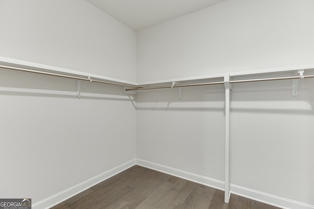1023 Harvest Park Ln, Suwanee, GA 30024 - spacious closet with dark wood-style flooring