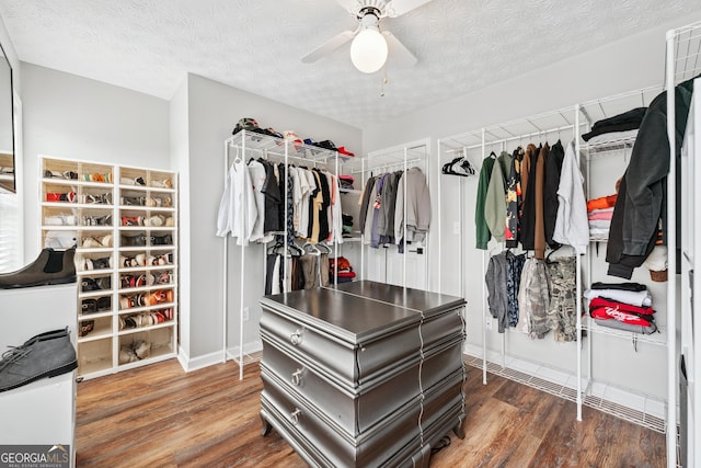 2349 June Springs Dr SW, Marietta, GA 30008 - walk in closet featuring wood finished floors and a ceiling fan