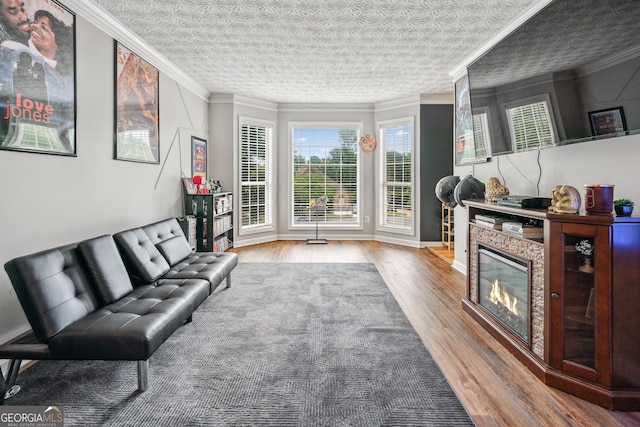 2349 June Springs Dr SW, Marietta, GA 30008 - living room featuring healthy amount of natural light, wood finished floors, ornamental molding, and a stone fireplace