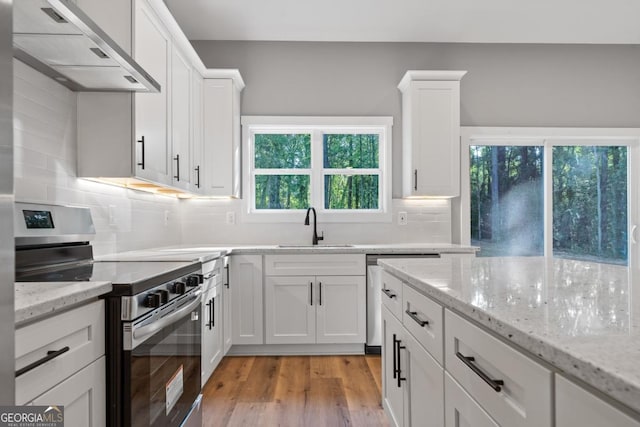 103 Spruce Ln, Eatonton, GA 31024 - kitchen featuring appliances with stainless steel finishes, exhaust hood, white cabinetry, and light wood-style flooring