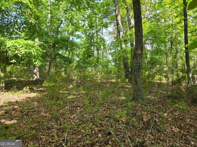 1010 Bunker Bnd, Greensboro, GA 30642