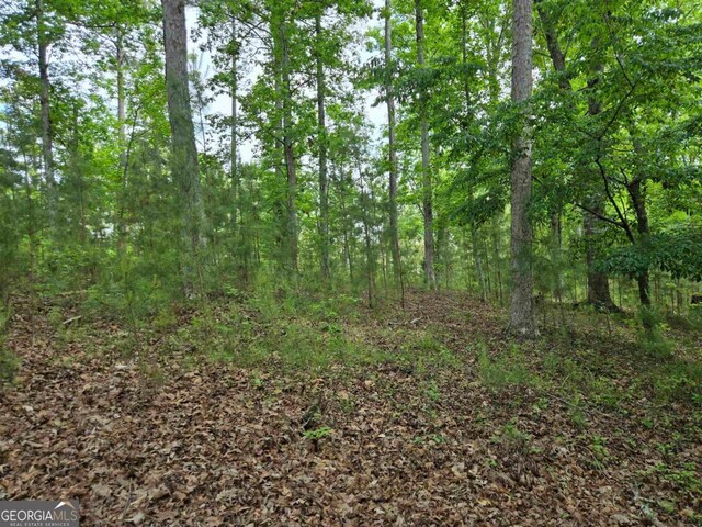 1010 Bunker Bnd, Greensboro, GA 30642