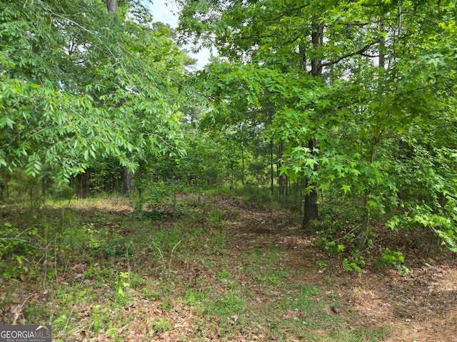 1010 Bunker Bnd, Greensboro, GA 30642