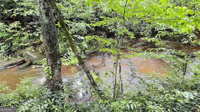 7511 Biltmore Ln, Douglasville, GA 30135 - view of nature