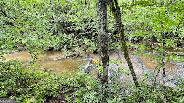 7511 Biltmore Ln, Douglasville, GA 30135 - view of undeveloped land