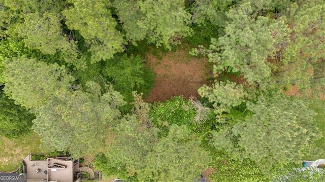 10 Bayberry Ct, Acworth, GA 30101 - aerial view of property's location with a forest