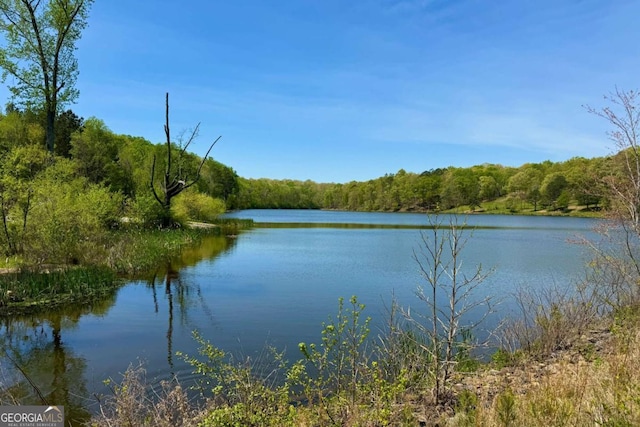 water view with a forest