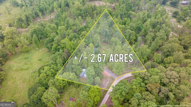 aerial view of property's location featuring property boundaries highlighted and a heavily wooded area