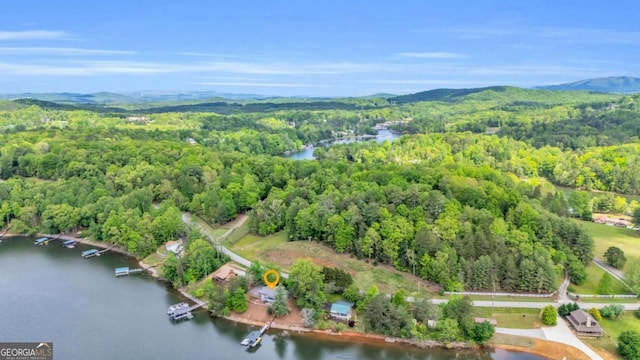 drone / aerial view of a forest and a water and mountain view