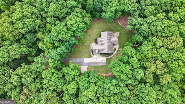 84 Creekside Ct, Zebulon, GA 30295 - aerial overview of property's location