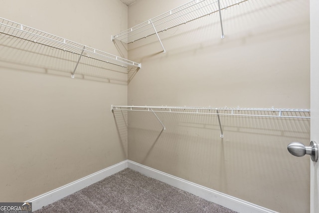 84 Creekside Ct, Zebulon, GA 30295 - walk in closet with carpet flooring