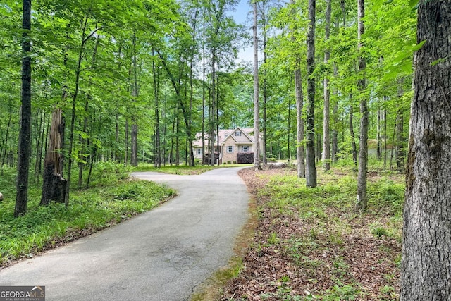84 Creekside Ct, Zebulon, GA 30295 - view of asphalt driveway with a forest view