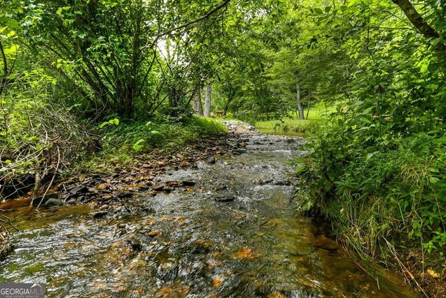 view of local wilderness