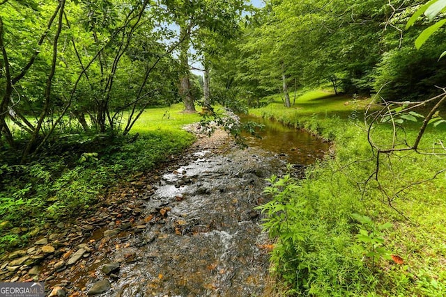 view of undeveloped land
