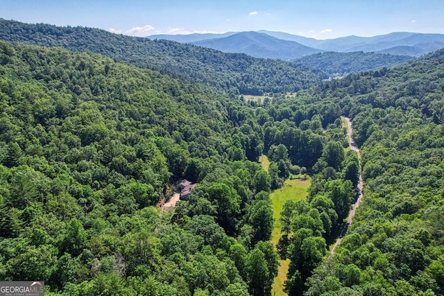 drone / aerial view of a heavily wooded area and a mountain backdrop