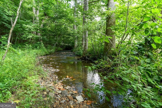 view of tree filled area